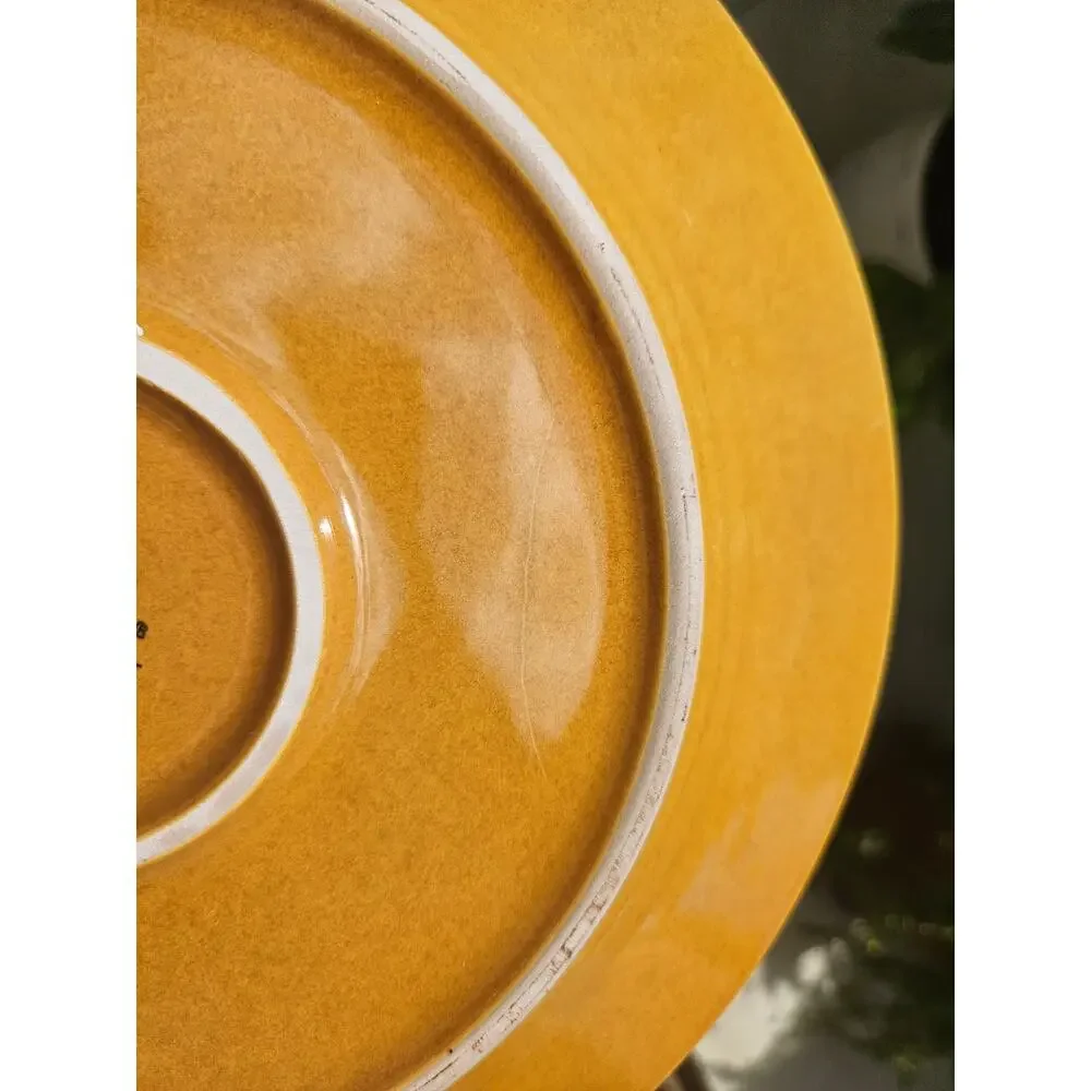 3 Dinner Plates Pier1 10.75